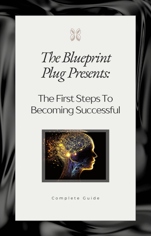 Guide: The First Steps To  Becoming Successful